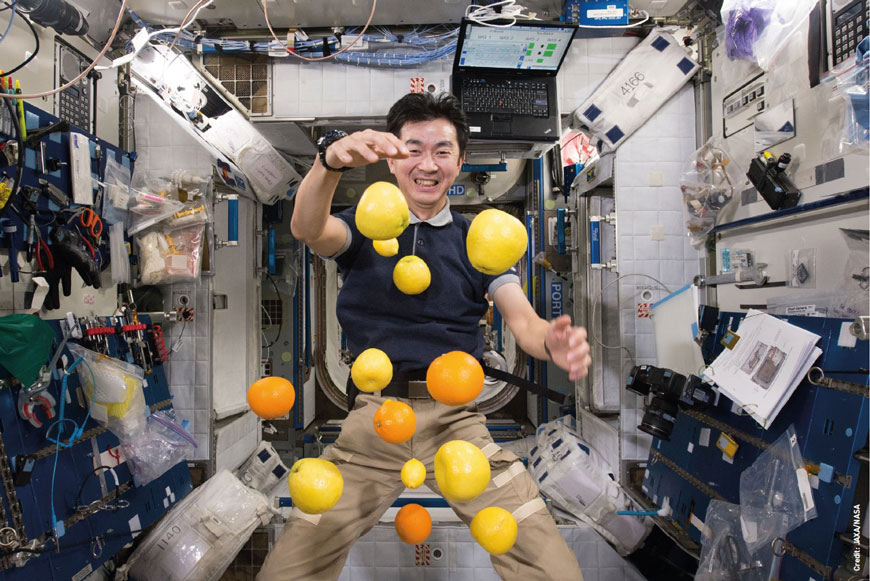 Астронавт ДжАКСА, Кимия Юи, жонглирует свежими фруктами, доставленными японским транспортным кораблем Kounotori H-II во время его пятого полета. Авторское право: ДжАКСА/НАСА