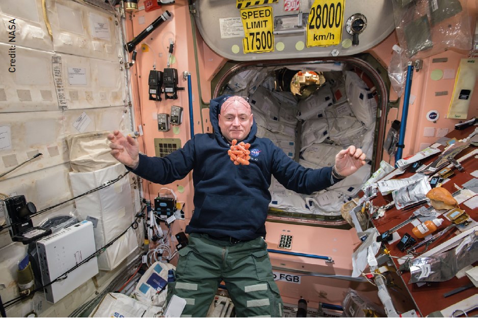 Астронавт НАСА Скотт Келли наблюдает плавающий перед глазами пучок свежей моркови как части его годичного пребывания на борту МКС. Авторское право: NASA