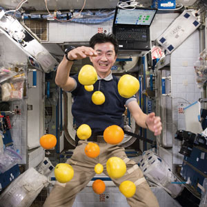 Астронавт ДжАКСА, Кимия Юи, жонглирует свежими фруктами, доставленными японским транспортным кораблем Kounotori H-II во время его пятого полета. Авторское право: ДжАКСА/НАСА
