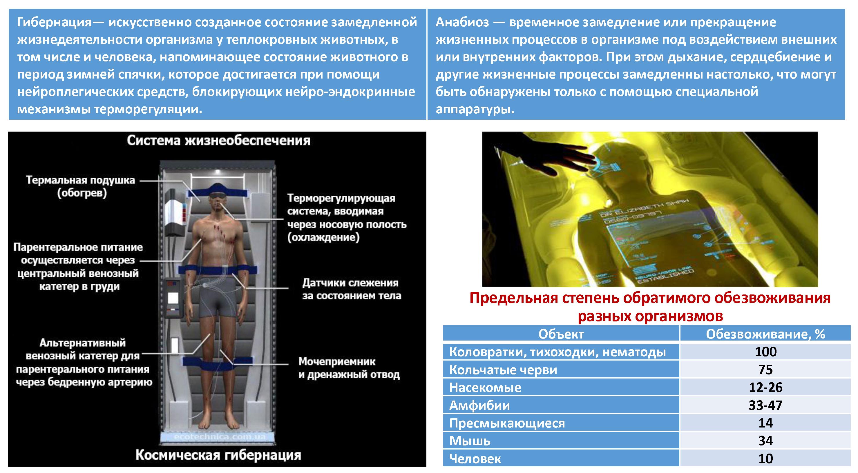 Анабиоз что это такое простыми