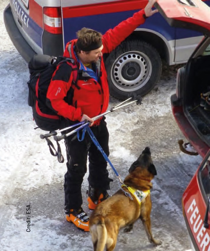 Помимо спутников, спасатели также используют собак